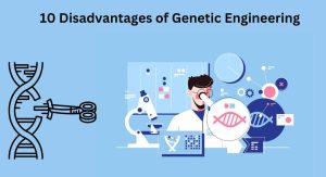 10 Disadvantages of Genetic Engineering