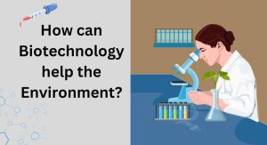 How can Biotechnology help the Environment