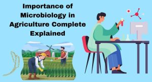 Importance of Microbiology in Agriculture Complete Explained